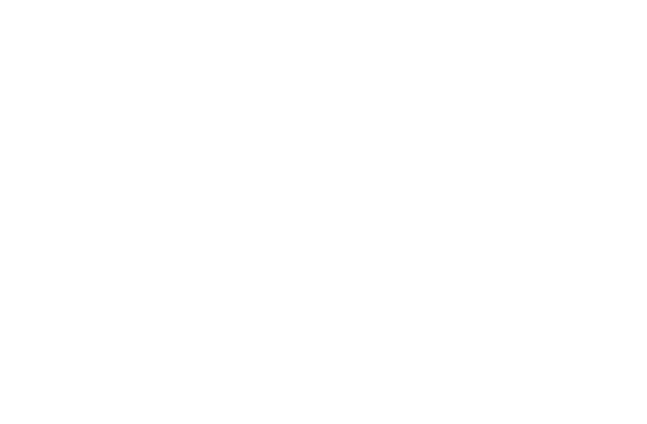 bawbawon-hospitality-group-logo-all-white