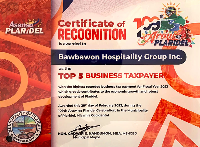 bawbawon-tax-payer
